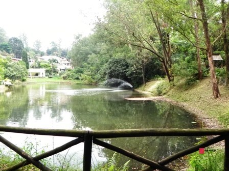 Terreno à Venda no Condomínio Palos Verdes | 1.121 m² | Granja Viana foto 8