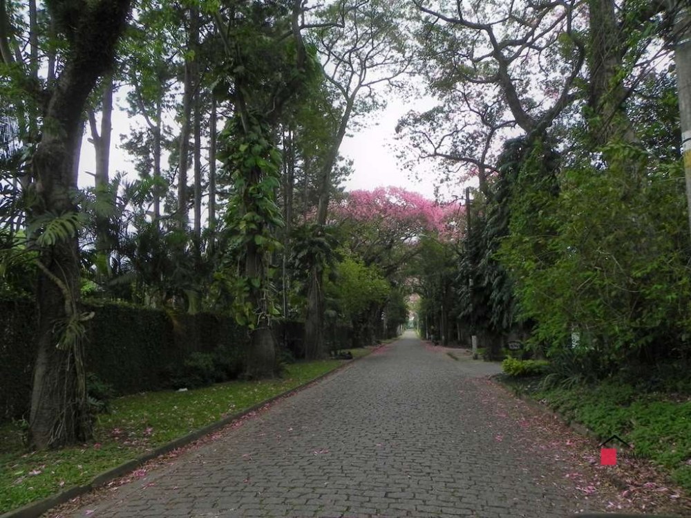 Casa de Alto Padrão à Venda na Granja Viana | 4 Suítes | Condomínio Fechado | Piscina e Sauna foto 20